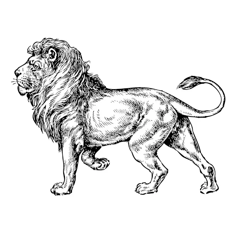 Vintage lion, Wild Animal
